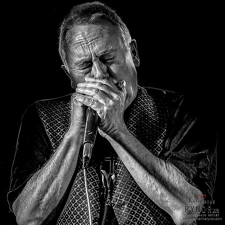 The Harmonica Player