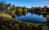 Tarn Hows 3