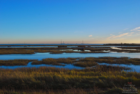 Leigh on Sea