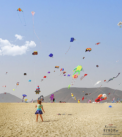Lets Go Fly a Kite