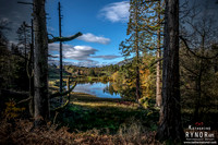 Tarn Hows 2