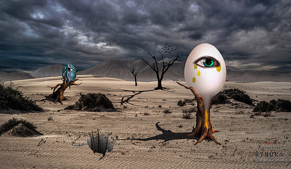 Desert