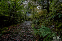 Grasmere 3