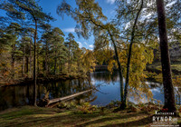Tarn Hows 5