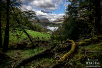 Grasmere 2