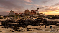 Homeward Bound El Cotillo