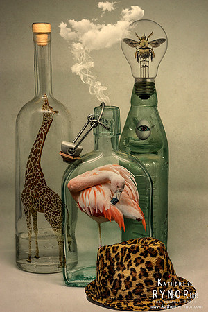 Still Life
