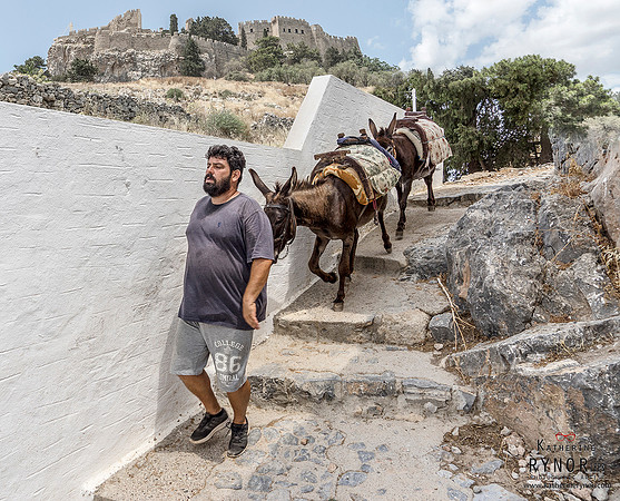 Lindos Donkeys